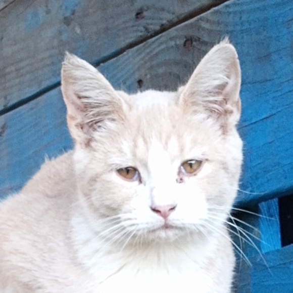 Meet your Posher, Michelle - Picture 15 of 16